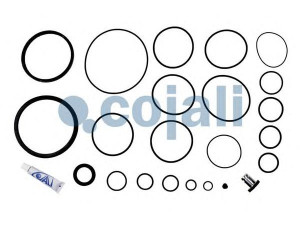 COJALI 6012238 remonto komplektas