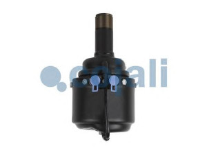 COJALI 2351404 spyruoklinis stabdžių cilindras