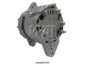 WAIglobal 12113N kintamosios srovės generatorius
1705877200, LR12534, 17105877200