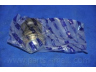 PARTS-MALL PXCJA-017 atramos/vairo trauklė
5441744000, 5441744001, 5443144000