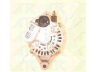 ASHIKA 002-T445 kintamosios srovės generatorius
27060-72111, 27060-72140, JA0553IR
