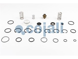 COJALI 6014415 remonto komplektas, stabdymo jėgos reguliatorius