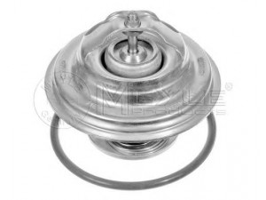 MEYLE 028 287 0007 termostatas, aušinimo skystis 
 Aušinimo sistema -> Termostatas/tarpiklis -> Thermostat
078 121 113 F, 078 121 113 F, 078 121 113 F