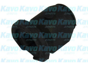 KAVO PARTS SCR-6509 valdymo svirties/išilginių svirčių įvorė 
 Ašies montavimas/vairavimo mechanizmas/ratai -> Valdymo svirtis/pasukamosios svirties sujungimas -> Montavimas/sutvirtinimas
5447601B00