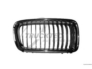 TRUCKTEC AUTOMOTIVE 08.62.255 radiatorius grotelės
51 13 8 231 594
