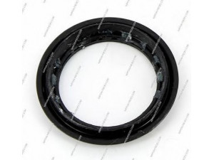 NPS N470N43B rato guolio komplektas
402324F100