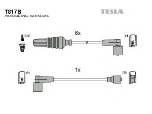 TESLA T817B uždegimo laido komplektas 
 Kibirkšties / kaitinamasis uždegimas -> Uždegimo laidai/jungtys
5967.H2