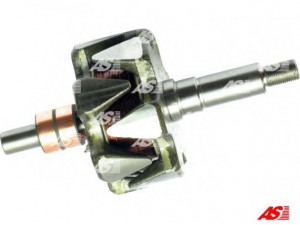 AS-PL AR1003 rotorius, kintamosios srovės generatorius