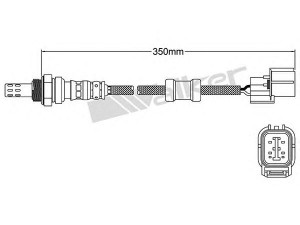 WALKER PRODUCTS 250-24473 lambda jutiklis 
 Variklis -> Variklio elektra
36531 P9KE01, 36531 PDE E02, 36531 PNB G02