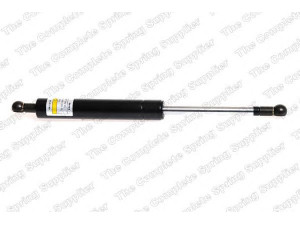 ROC GS0148 dujinė spyruoklė, bagažinė 
 Priedai -> Bagažinė/pakrovimo skyrius
893827552