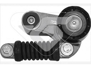 HUTCHINSON T2013 įtempiklio skriemulys, V formos rumbuotas diržas 
 Diržinė pavara -> V formos rumbuotas diržas/komplektas -> Įtempiklio skriemulys
MD852898, 7700102395, 30852898
