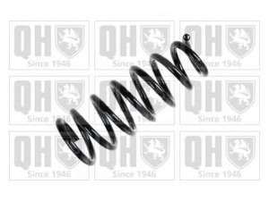 QUINTON HAZELL QCS7580 spyruoklė 
 Pakaba -> Spyruoklės
48231-05311