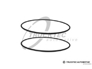 TRUCKTEC AUTOMOTIVE 01.67.085 O žiedas, cilindro sraigtinė įvorė
011 997 3548, 012 997 1248, 423 011 0259