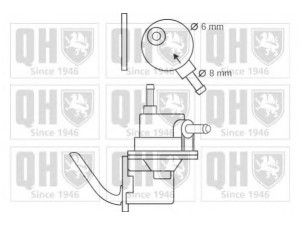 QUINTON HAZELL QFP43 kuro siurblys 
 Degalų tiekimo sistema -> Kuro siurblys/dalys -> Kuro siurblys
8 16 057, 8 16 061, 25 061 476