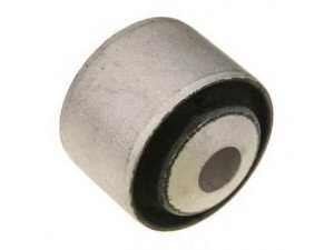 TRW JBU670 valdymo svirties/išilginių svirčių įvorė 
 Ašies montavimas/vairavimo mechanizmas/ratai -> Valdymo svirtis/pasukamosios svirties sujungimas -> Montavimas/sutvirtinimas
2213522165