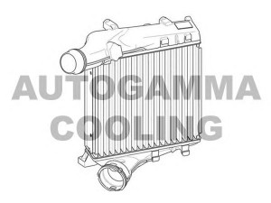 AUTOGAMMA 107555 tarpinis suslėgto oro aušintuvas, kompresorius
7P5145804B, 95811064020