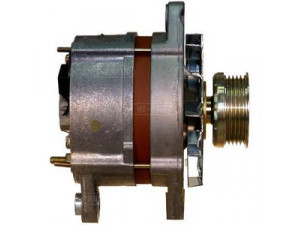 HC-PARTS CA1234IR kintamosios srovės generatorius 
 Elektros įranga -> Kint. sr. generatorius/dalys -> Kintamosios srovės generatorius
46423006, 7697867
