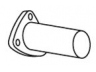 išleidimo kolektorius