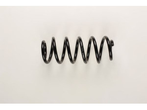 BILSTEIN 36-203178 spyruoklė 
 Pakaba -> Spyruoklės
4F0 411 105 BE