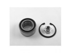 DELPHI BK1518 rato guolio komplektas