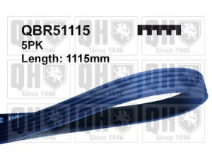 QUINTON HAZELL QBR51115 V formos rumbuoti diržai 
 Techninės priežiūros dalys -> Techninės priežiūros intervalai
079903137A, 079903137AA, 079903137A