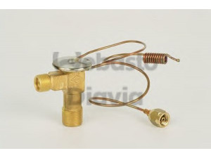 WEBASTO 62058022A išsiplėtimo vožtuvas, oro kondicionavimas