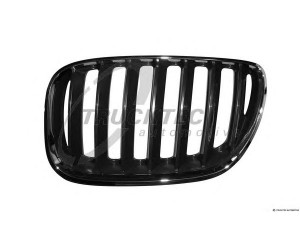 TRUCKTEC AUTOMOTIVE 08.62.265 radiatorius grotelės
51 13 7 113 733