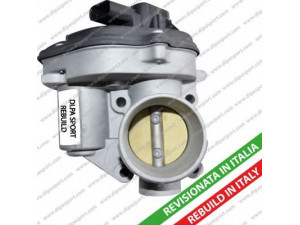 DIPASPORT FLAI126R droselio korpusas