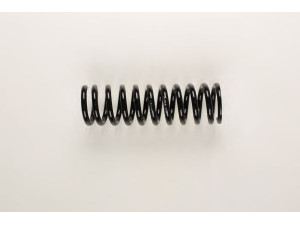 BILSTEIN 36-226191 spyruoklė 
 Pakaba -> Spyruoklės
201 324 26 04