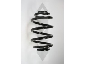 SPIDAN 55073 spyruoklė 
 Pakaba -> Spyruoklės
77 00 839 337