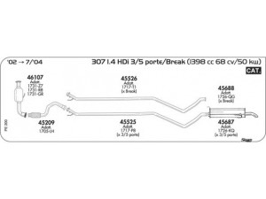 AKS DASIS SGPE200 išmetimo sistema