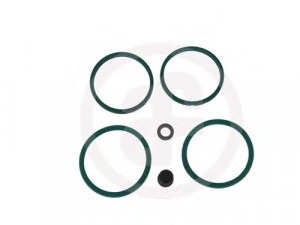 AUTOFREN SEINSA D4133 remonto komplektas, stabdžių apkaba 
 Stabdžių sistema -> Stabdžių matuoklis -> Stabdžių matuoklio montavimas