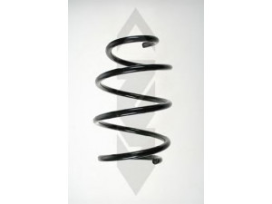 SPIDAN 55128 spyruoklė 
 Pakaba -> Spyruoklės
31 33 6 756 641