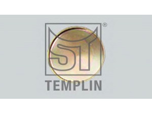ST-TEMPLIN 06.070.0976.300 dangtelis
81.91605.0041