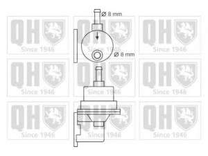 QUINTON HAZELL QFP113 kuro siurblys 
 Degalų tiekimo sistema -> Kuro siurblys/dalys -> Kuro siurblys
2101-1106010