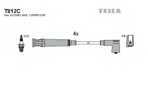 TESLA T812C uždegimo laido komplektas 
 Kibirkšties / kaitinamasis uždegimas -> Uždegimo laidai/jungtys
60597943, 60598355