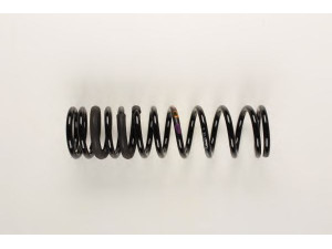 BILSTEIN 36-154456 spyruoklė 
 Pakaba -> Spyruoklės
1143701, 2M51 5560 FA