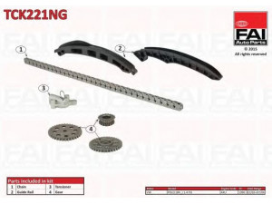 FAI AutoParts TCK221NG pavaros grandinės komplektas 
 Variklis -> Variklio uždegimo laiko reguliavimo kontrolė -> Sinchronizavimo grandinė/įtempiklis/kreiptuvas -> Pavaros grandinės komplektas