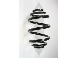 SPIDAN 49767 spyruoklė 
 Pakaba -> Spyruoklės
33 53 1 094 739