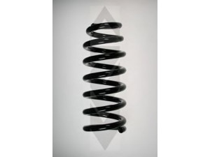 SPIDAN 55789 spyruoklė 
 Pakaba -> Spyruoklės
MR510429, MR554260