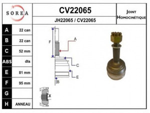 EAI CV22065K jungčių komplektas, kardaninis velenas 
 Ratų pavara -> Sujungimai/komplektas
OL-01-02