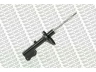 MONROE 11066 amortizatorius 
 Pakaba -> Amortizatorius
MB303031, MB303060, MB303061, MB518032