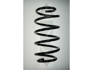 SPIDAN 55113 spyruoklė 
 Pakaba -> Spyruoklės
31 33 6 750 333