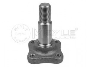 MEYLE 16-14 501 0002 pasukamasis kakliukas, rato pakaba 
 Ašies montavimas/vairavimo mechanizmas/ratai -> Pasukamojo kakliuko remonto rinkinys -> Pasukamasis kakliukas
8200927687, 8200927687