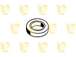 UNIGOM 180506 guminis apsauginis apvalkalas, pagrindinis stabdžių cilindra
4221790