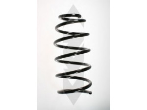 SPIDAN 49552 spyruoklė 
 Pakaba -> Spyruoklės
1J0 411 105 P