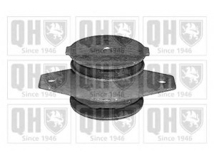 QUINTON HAZELL EM4058 montavimas, automatinė transmisija; montavimas, neautomatinė transmisija 
 Transmisija -> Automatinė pavarų dėžė -> Transmisijos montavimas
7670108