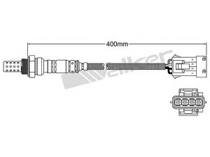 WALKER PRODUCTS 250-24536 lambda jutiklis 
 Variklis -> Variklio elektra
1628 7R, 1628 7R