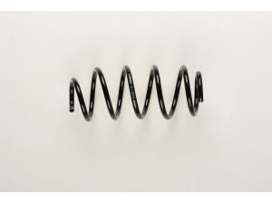 BILSTEIN 36-199556 spyruoklė 
 Pakaba -> Spyruoklės
3C0 411 105 C