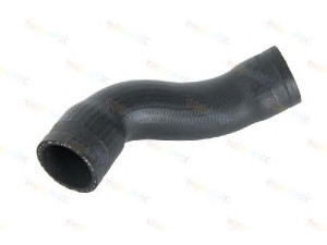 THERMOTEC DCW006TT kompresoriaus padavimo žarna
6K0145834, 6K0 145834 C